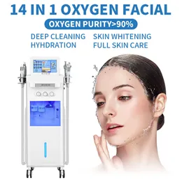 Nuovo arrivo 14 in 1 attrezzature multifunzione per saloni di bellezza Hydra Water Dermobrasion SPA Facial Machine