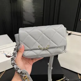 Mini Designer Waist Pack for Women Quilted Leather Chain Bag, Gold  Hardware, Shoulder Handbag, Coin Wallet, Colors, 17x11cm Limited  Stock! - Main Image