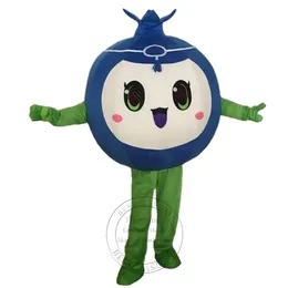 Hot Sales Adult size Blueberry Mascot Fruit Costume Suit Character costumes Birthday Party Mascot Costume