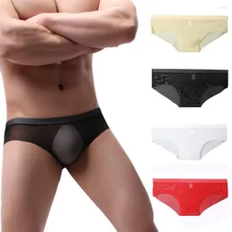 Underpants Men's Mesh Low Waist Underwear Soft Breathable Knickers Short Sexy Briefs Men Transparant Cueca Masculina