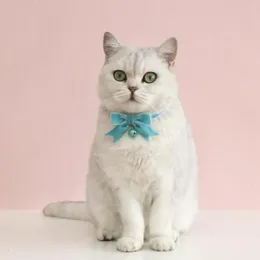 Hundehalsbänder, Katzen-Halsband, stilvoll, erstickungshemmend, angenehm zu tragen, hübsche Prinzessin-Haustier-Halskette