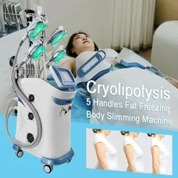 Profesyonel Yağ Donduru Kilo Kayıp Cavitasyon Ciriolipoliziz Yağ Dondurucu Makine Vücut Zayıflama 5 Kafa Donma Yağ Çıkarma Vücudunu şekillendirme Kilo Kaybı Makinesi