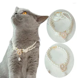 Hundehalsbänder Luxus Haustier Kunstperlen Halskette Schmuck Verstellbare Verlängerungskette Design Welpenhalsband Zubehör für kleine Mädchen Hunde Katzen
