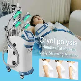 Original Cryolipolysis Schlankheitsmaschine mit vertikalem Effekt, Fettgefriermaschine, Körperschlankheits-5-Kopf-Gefrierfettentfernung, Körperformung, Gewichtsverlustmaschine