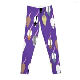 Calças Active Rat Pack Leggings Academia Roupas Femininas Roupas Esportivas Femininas