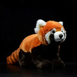 Doldurulmuş Peluş Hayvanlar Simülasyon Kırmızı Panda Ailurus Fulgens Lesser Panda Güzel Sevimli Dolls Yumuşak Kawaii Hayvanlar Doldurulmuş Peluş Oyuncaklar Çocuk Hediye Koleksiyonu L230707