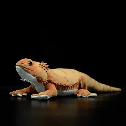 Mjuka plyschdjur 46cm Simulering Pogona Vitticeps Lguana ödla Söt Realistisk Mjuk plyschleksak Mjuk Agamidae Djur Docka Modell För Barn Presenter L230707