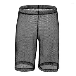 Wholesale Cheap Elephant Trunk Underwear - Buy in Bulk on DHgate UK