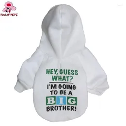 Odzież dla psów Moda Jesień Zima Fajne „BIG BROTHER!” Wzór T-Shirt Ubrania Dla Zwierząt Z Bluzami Dla Psów Ubrania Szczeniąt