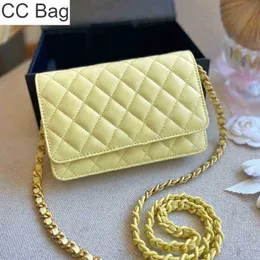 أكياس التسوق CC أكياس 2022 Retro الكلاسيكية Mini Dream Fortune مصمم الفاخرة Calfskin التدرج سلسلة المحفظة المبتكرة غطاء الأجهزة منقوشة