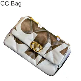 CC Bag Shopping s 2022ss Classic 19 Series Colorblock Designer Spalla Pelle di agnello trapuntata Check Hardware in metallo dorato Catena Crossbody Fr