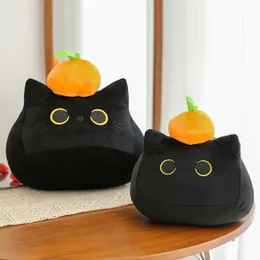 Peluş bebekler 3040cm kawaii turuncu siyah kedi bebek oyuncakları sevimli yüksek kaliteli hediyeler erkekler için kız arkadaşlar erkek arkadaşları 230711'i süslemek