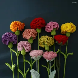 Fleurs décoratives bricolage oeillet tricoté à la main Simulation Crochet fête des mères Bouquet cadeau pour mère 2023