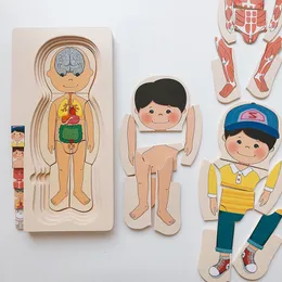 Intelligence toys Montessori Wooden Toys Human Body Puzzles Organs Educational Jigsaw Boys Girls Anatomy Play Set Match Board Game Gifts 230710