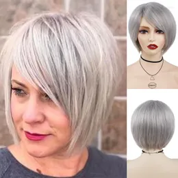 Synthetic Wigs GNIMEGIL Short Bob Haircut Wig With Bangs For Female Old Ladies Stylish Grey Straight Mommy Daily Cosplay Costume