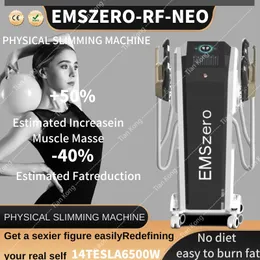 Nova Hej EMT Senaste 14 Tesla Muscle Sculpture Stimulator Emszero High Intensity Neo Electromagnetic Slimming