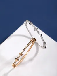 Tennisarmband Mens Armbandbracelet Nut Armband Ecrou de Carti Series Silver Rose Gold Par Armband Date Party Jewlery