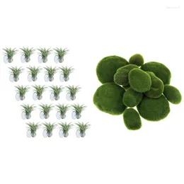 Decorative Flowers A63I 20 Pcs Air Plant Holder(Plants Not Included) & 30PCS Super Delicate Simulation Moss Foam Stone Hair Ball