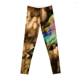 Active Pants Lilac-breasted Roller Coracias Caudata Bird Lila Blue Africa Leggings Sport Shoes Women Gym Legging Woman