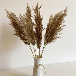 Dekorative Blumen, 10/20 Stück, flauschige Pampas, getrockneter Blumenstrauß, Heimdekoration, natürliches Schwanzgras, künstliche Blumen, Hochzeit, Party