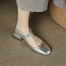 Klädskor för kvinnor retro silver Mary Jane kvinnors tjocka hälen fyrkantig tå medium liten läder j-f07