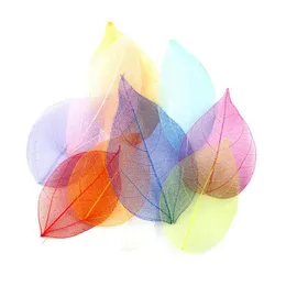 Decorative Flowers Wreaths 20Pcs/Bag Mti-Color Natural Skeleton Leaf Dry Leaves Scrapbooking Girl Diy Material 20220512 Q2 Drop De Dhgoh