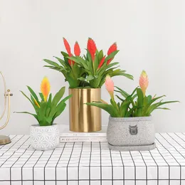 3 Pcs Lote Simulação de plantas suculentas tropicais de plástico flores falsas inteiras faça você mesmo sala de estar interior decoração de casa artificial pl279b