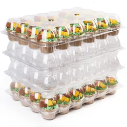 Einwegbehälter zum Mitnehmen, 24 Stück, Cupcake-Packung mit 10 Kunststoffboxen 230714