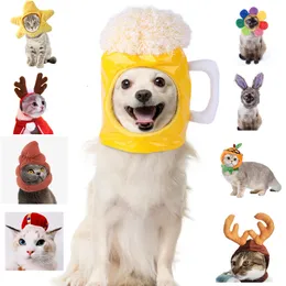 Costumi per gatti Copricapo per animali domestici Cappello per cosplay di Halloween Stili multipli Teddy Holiday Dress Up Trucco per il sole Parrucca per fortuna Copricapo 230714