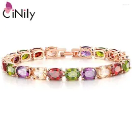Pulseiras de link CiNily Luxo Multicolor Charm Bracelet CZ Stones Rose Gold Color Fashion Round For Women Jewelry Wedding Party Gift