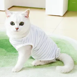 Hundkläder slitstarka användbara ränder mönster husdjur passar lätt katt avvänjande klädfästare tejp fjädertillbehör