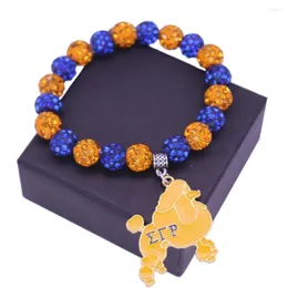 Charm Bracelets Double Nose Blue Yellow Crystal Beads Greek Letter Sigma Gamma Rho Poodle University Society Memory Jewelry