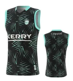 Мужские футболки 2023 Top Dublin Gaa Carlow Rocommon Jerseys Newyork Vest Longford Limerick Wexford Kilkenny Donegal Антрим Керри Тайрон Мейо Корк WTHW 570