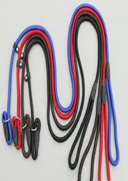 Rope Dog Whisperer Cesar Millan Style Slip Training Leashes Leine Halsband98935076450859