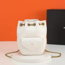 新しい高級ジュエリーバッグバックパックポータブルコイン財布女性女の子シニアデザイナー女性ファッションチェンジチェーンバッグガベージバッグギフトボックスパッケージ