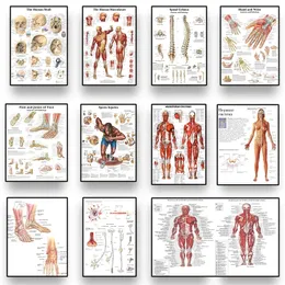 Dekorativa föremål Figurer Human Anatomy Body Organ Bones Bild HD Poster Canvas Målning och tryckrum Väggkonstdekoration Cuadro 230715