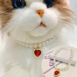 Collari per cani Collana con ciondolo per animali domestici di lunga durata Girocollo universale Regolabile Cat Small Puppy Jewelry Dress Up