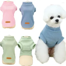 Köpek giyim örgü kedi hoodies yaz kısa kollu tshirt evcil hayvanlar köpek köpekleri sweatshirt gömlek küçük köpekler Chihuahua giyim xxl
