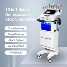 Newest 10 in 1 Wrinkle Remover Skin Management Oxygen Facial Deep Cleaning Machine Skin Care Small Bubble Blackhead Removal Machine