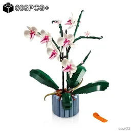 Blocchi Romantico Bouquet creativo Orchidea Mattoni Fiore Modello in vaso Blocchi fai da te 10311 Set Assemblare giocattoli per regali fidanzata R230718