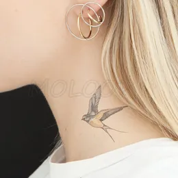 Wassertransfer Sexy Tattoo Schwalbe Vogel Tattoo Body Art Wasserdicht Temporäre Fake-Flash-Tattoo für Mann Frau Kind 10,5*6 cm