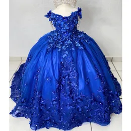 Blue Flower Girls Dress Off Shoulder Princess Ball Gown Applique Crystals Beads 3Dflower First Communion Photoshoot