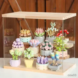 Blocks City Succulente Mini Blocchi Piante in vaso Compatibili Mattoni da costruzione classici Giocattoli da giardino per ragazze Regalo per anni Decorazioni per la casa R230718