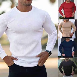 Men's Sweaters Spring Autumn Fashion Turtleneck Mens Thin Sweaters Casual Roll Neck Solid Pit Strip Slim Fit Sweaters Men Turtleneck Pullover L230719