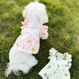 Hundkläder söt spetsplikt tryck båge kjol bichon maltesisk husdjurskatt och kostymkläder för små hundar flicka klänningar Yorkie