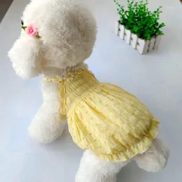 Dog Apparel Sweet Summer Clothes Loose Designer Puppy Weeding Dress Clothing Floral Collar Princess Lantern Skirt For Small Dogs Bichon