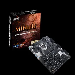 Placa-mãe do computador ASUS B250 MINING EXPERT267e