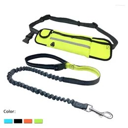 Dog Collars Pet Leash Running Full Function Belt Bag Harness Collar Jogging Lead Adjustable Waist Leashes Reflective Traction Rope