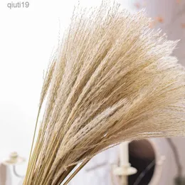 Disposizione di fiori secchi Reed Pampas Spighe di grano Coda di coniglio Erba Bouquet di fiori secchi naturali Decorazione di nozze Fieno Per la festa Bohémien Home R230720