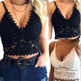 Womens Plus Size Underwear Floral Bralette Padded Push Up Lace Bras Sexy Lingerie Corset Camis Wire Sheer Bra Crop Tops Brass205f